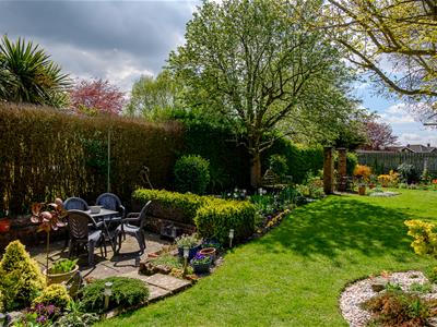 Picture 26